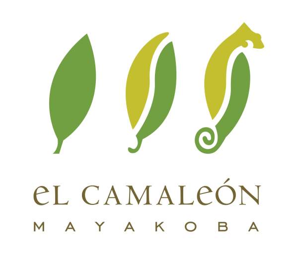 El Camaleón Mayakoba Golf Course Playa del Carmen